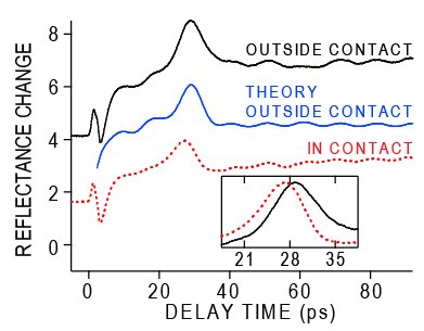 Acoustic echoes in and out of contact