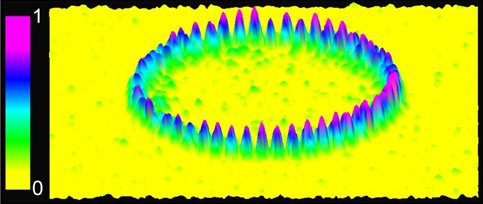 3D rendering of the whispering-gallery wave pattern