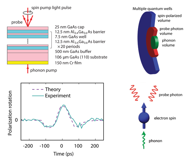 Polarization plot for Substrate